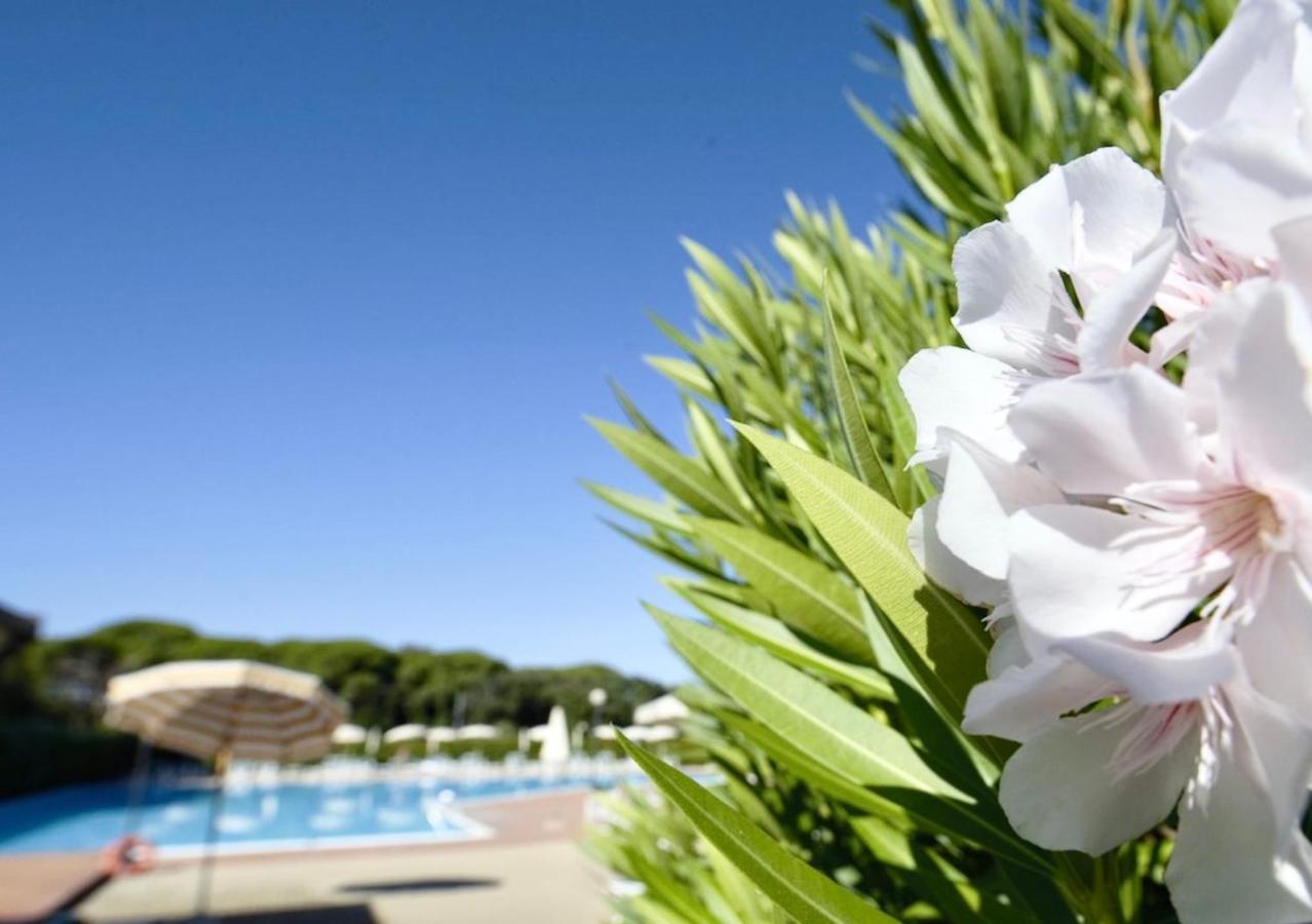 Isa-Apartments 4 Beds In Residence With Swimming-Pool In San Vincenzo, Just 600 Meters From The Sea Extérieur photo